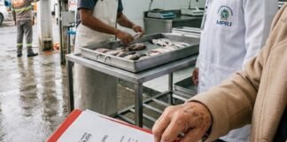 Empresa de pescados firma acordo com MPRJ após fiscalização em Itaboraí