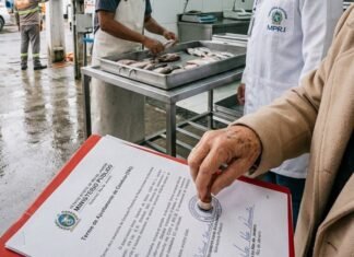 Empresa de pescados firma acordo com MPRJ após fiscalização em Itaboraí